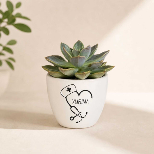 Succulent Pot with Stethoscope Design & Name Printed JNK-7070