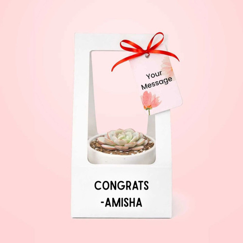 Personalized Succulent Gift Pot – Congrats Printed with Custom Tag
