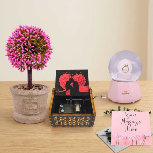 Musical Box With Artificial Bonsai & Greeting Card Gift Set DKG-973