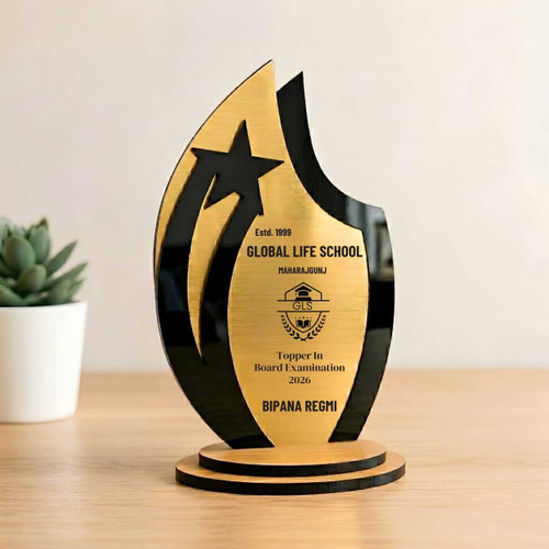 Topper in Board Examination Trophy – Custom Engraved Academic Excellence Award JNK-7364
