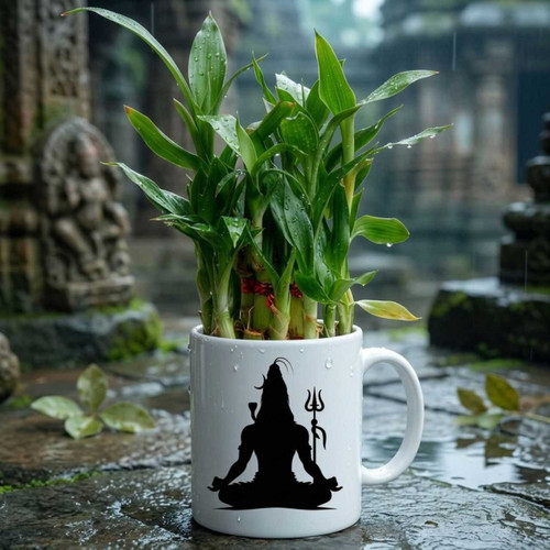Shiva Printed Lucky Bamboo Plant AM-403-FTN