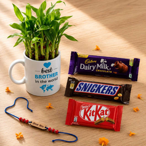 Lucky Bamboo Plant Mug, Rakhi & Chocolate Gift Set DKG-1568
