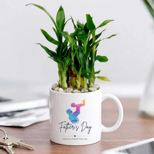 Bamboo Plant Mug Gift For Happy Father's Day SK-3657