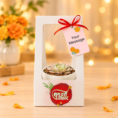 Dashain & Tihar Succulent Plant Gift with Printed Message JNK-8267