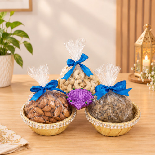 Dry Nuts & Diyo Gift Combo