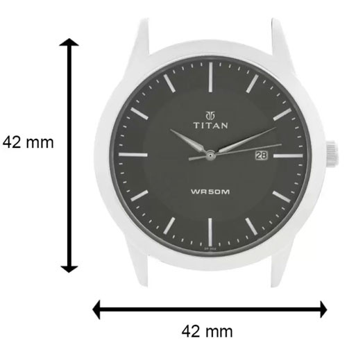 Titan Black Dial Metal Strap Watch for Men (1584SM04)