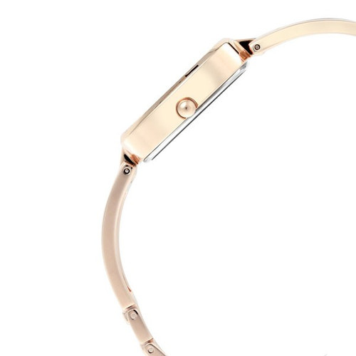 Titan Raga Grey Dial Analog Watch Women 2604WM01