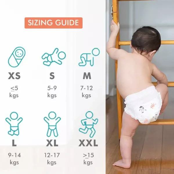 R for Rabbit Feather Diaper-  Small size ( Pant Style)- Pack of 48