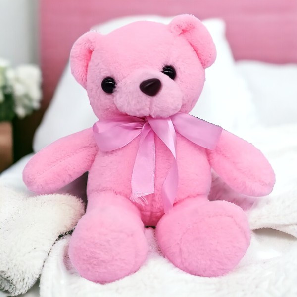 Light Pink Colour Teddy - Small