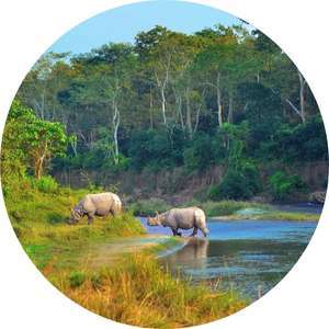 Chitwan