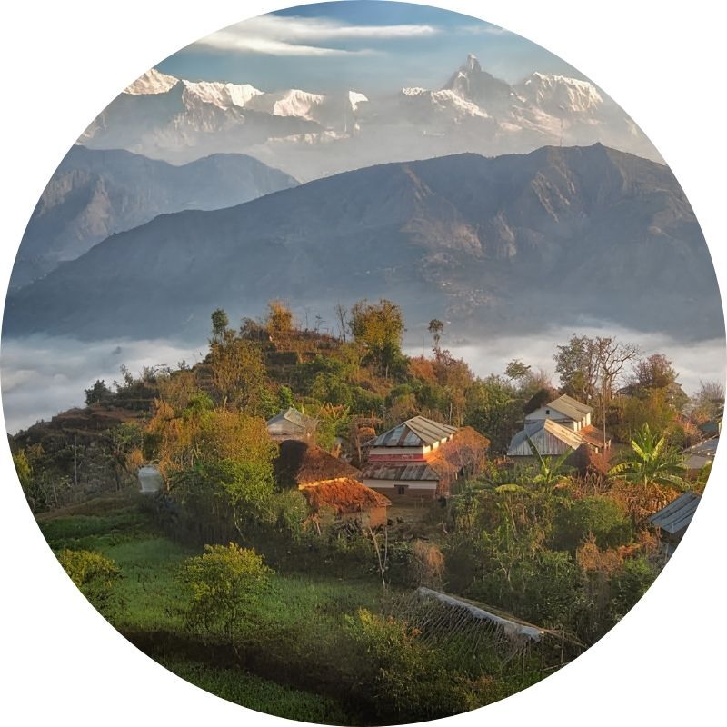 Syangja