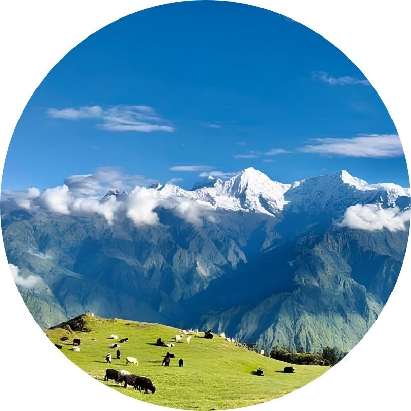 Dhading