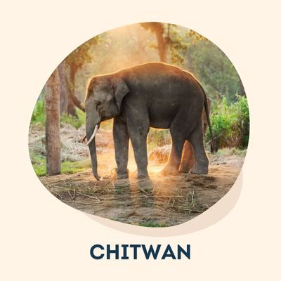 Gifts to Chitwan