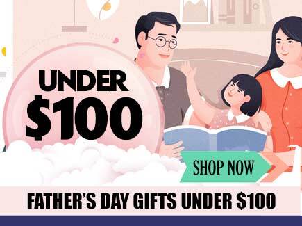 Gifts Under $100