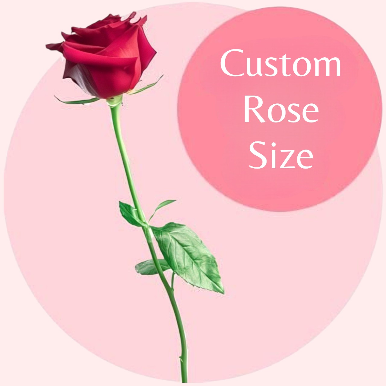 Size your love rose