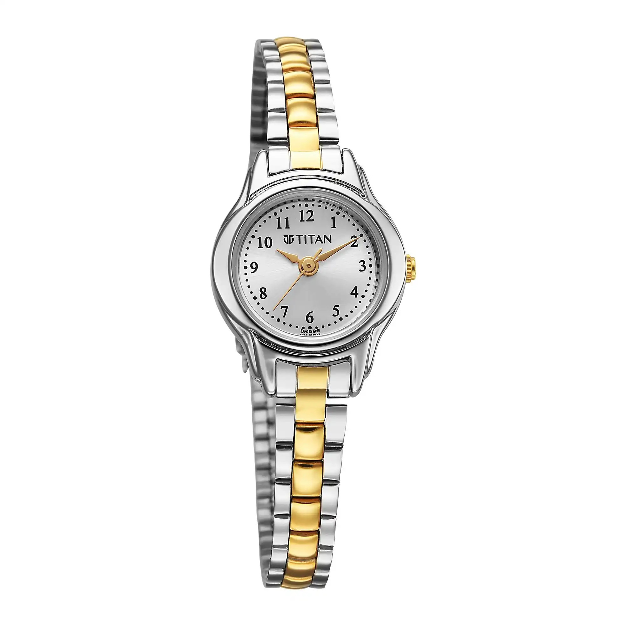 Analog Silver Dial with Two-Toned Stainless watch for Women