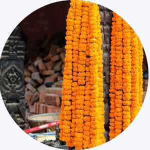 Sayapatri Garland