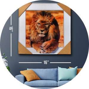 Wall Decor - Wall Photos