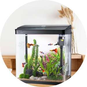 Aquarium Set
