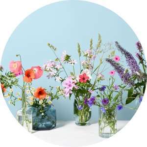 Flower Vase