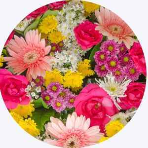 Flowers by Type