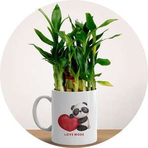 Lucky Bamboo Mugs