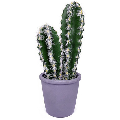 Artificial Cactus Plant in a Vase