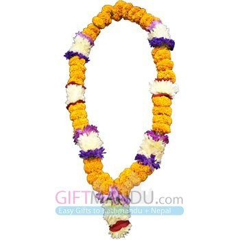Sayapatri, Godabari and Aster - Tihar Mala