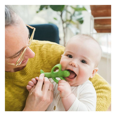 Dr.Brown's Peapod Teething Toothbrush-Te224-P2