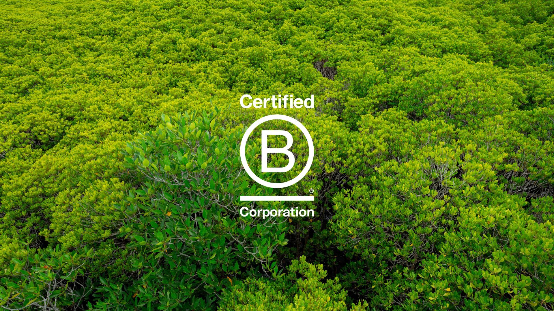 B Corp milestone