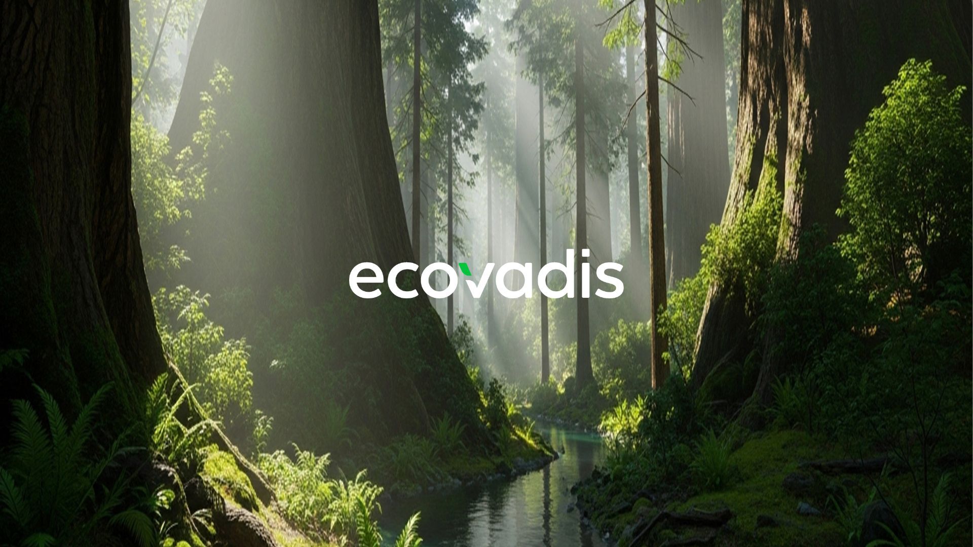 EcoVadis milestone