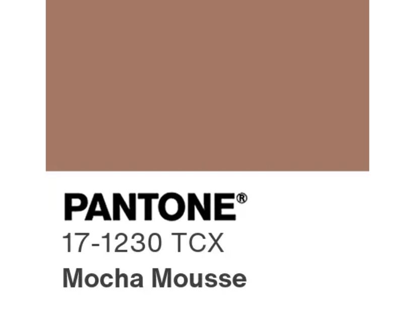 Pantone Mocha Mousse vs Our Signature Pebble – A Colour Trend We Called Early
