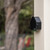 ez-Ripz Black Wall Mounted Dog Poop Bag Dispenser, For Most Brand Bags