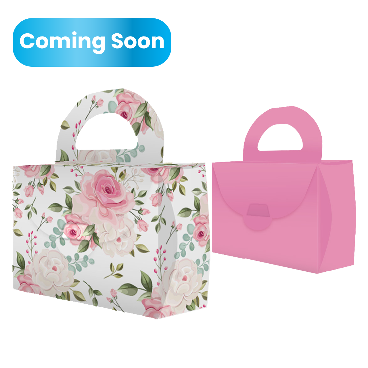 Cute Little Purse Box