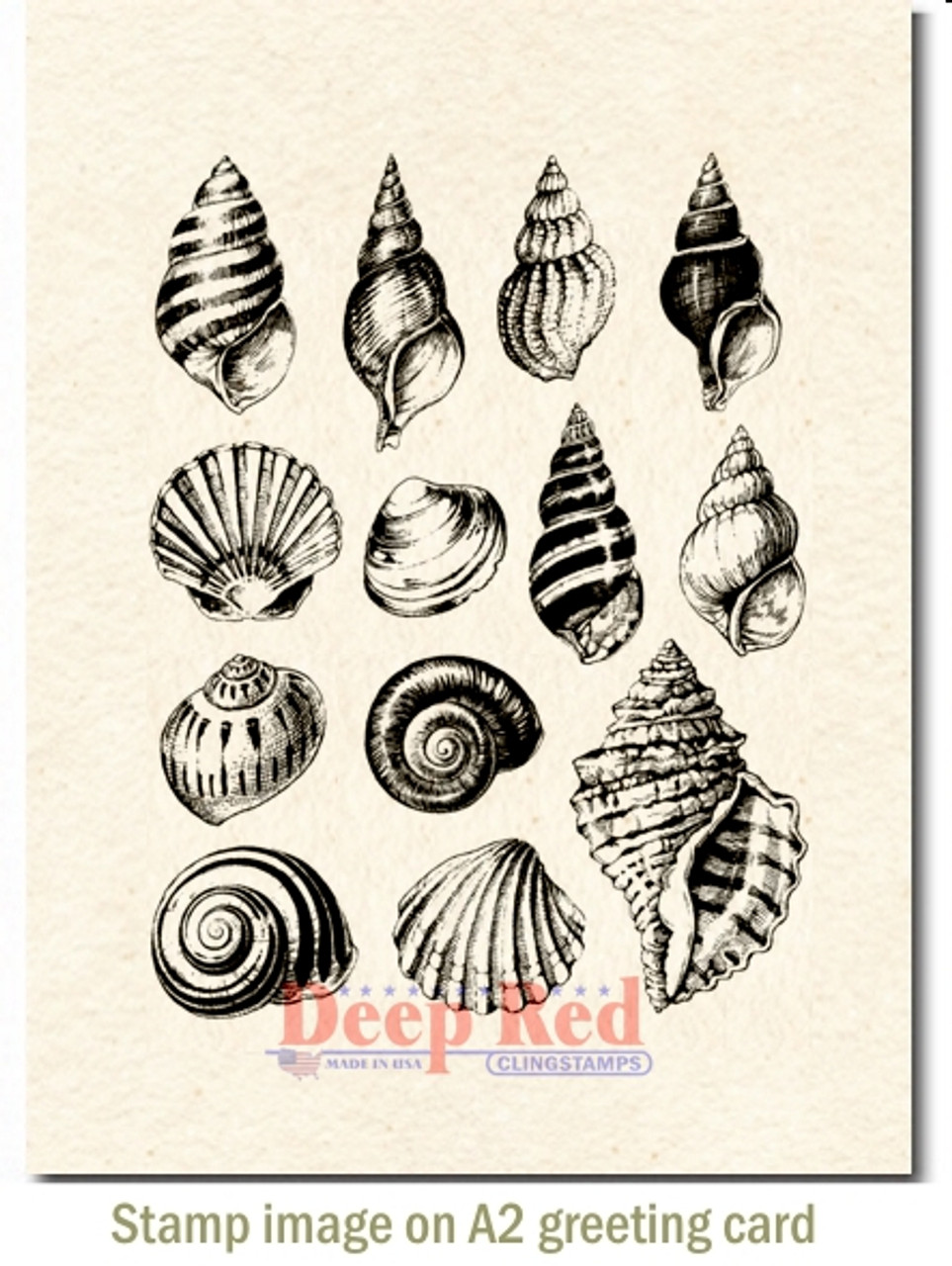 Seashell Collection Rubber Cling Stamp