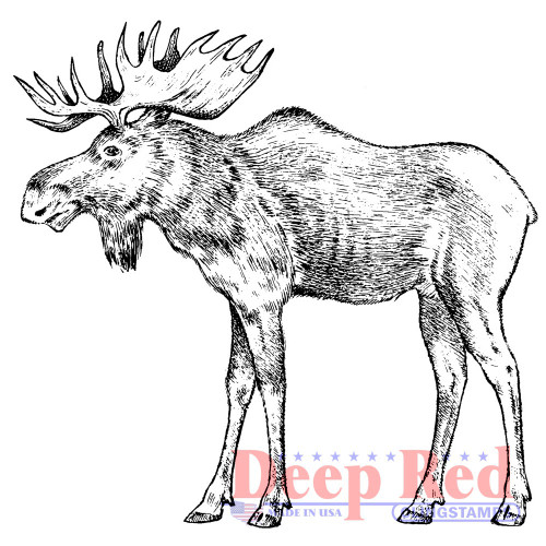 Moose Rubber Cling Stamp by Deep Red Stamps