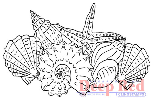 Seashells Rubber Cling Stamp by Deep Red Stamps