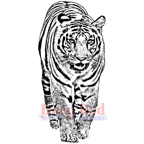 Bengal Tiger Rubber Cling Stamp by Deep Red Stamps