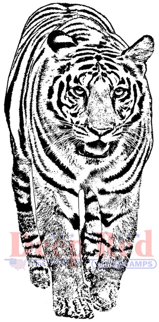 Bengal Tiger Rubber Cling Stamp by Deep Red Stamps