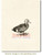 Gadwall Duck Rubber Cling Stamp by Deep Red Stamps shown on A2 card