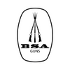 BSA