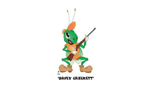 CRICKETT 22LR BL/GRY
