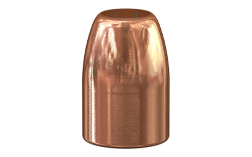 SPR GOLD DOT .451 230GR HP 100CT
