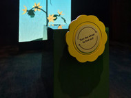 Interactive Activation | Auckland Museum