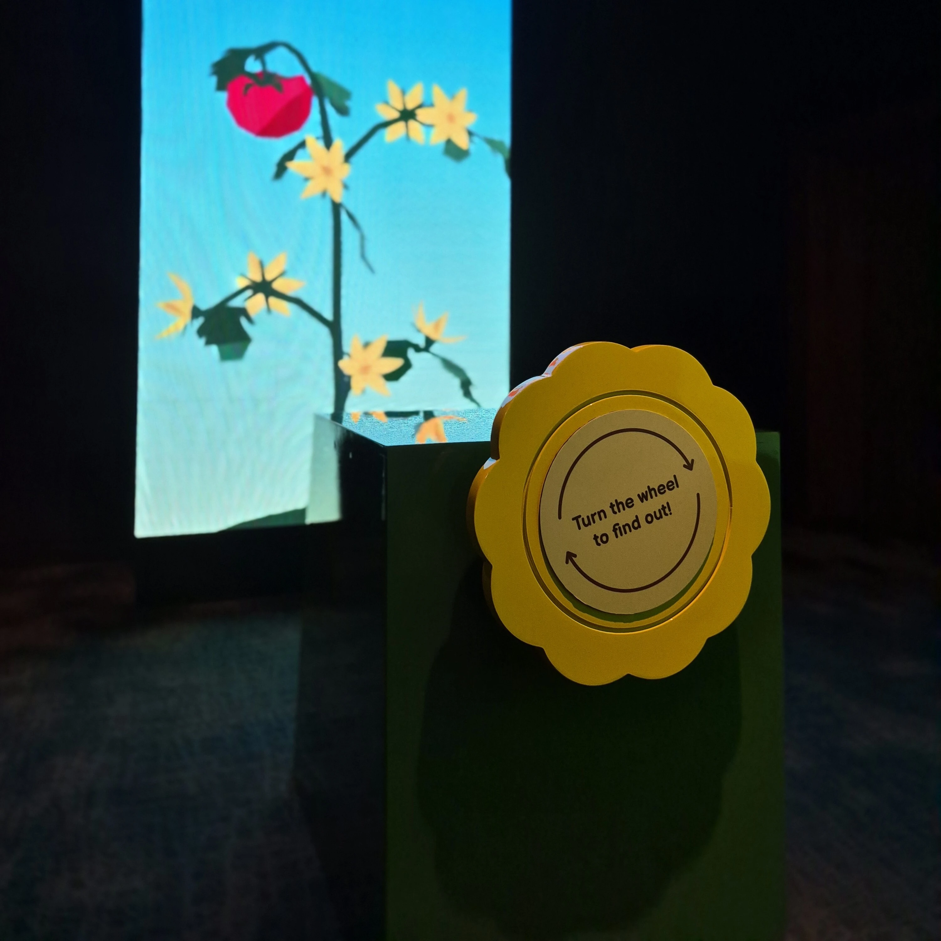 Custom interactive flower wheel at Auckland Museum with digital exhibition display
