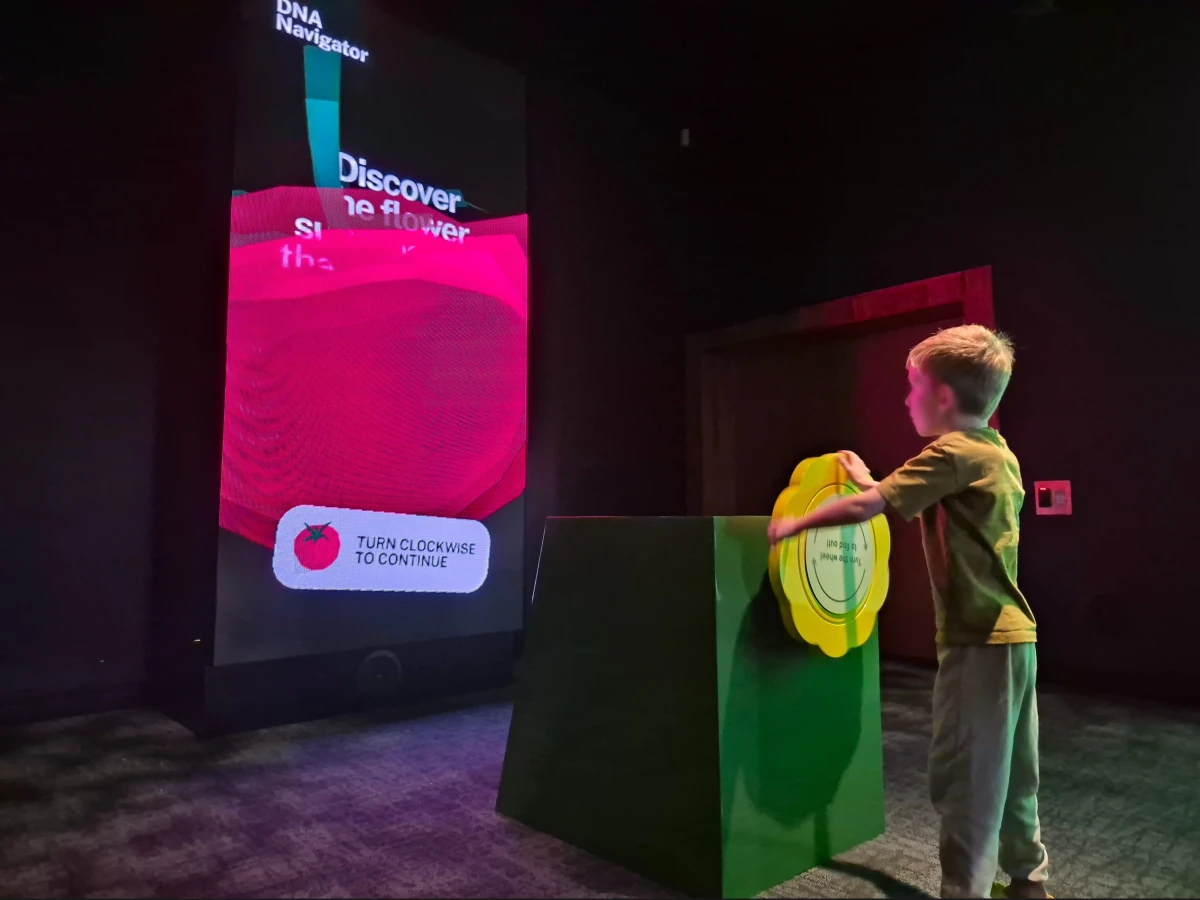 Visitor operating a custom interactive flower wheel connected to a digital display at Auckland Museum