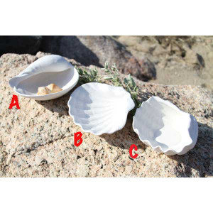 Porcelain Shell Decoration 25201A