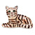 Brown Tabby Salt and Pepper Shakers 45521