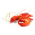 Red Lobster Ornament X381A