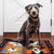 Four Friendly Pups - 21 x 33 - Washable Floor Rug JB-SFG001